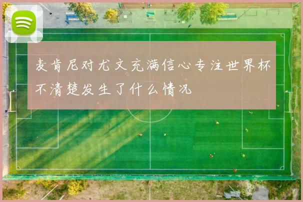 麦肯尼对尤文充满信心专注世界杯不清楚发生了什么情况